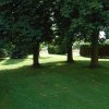 Garten1.1